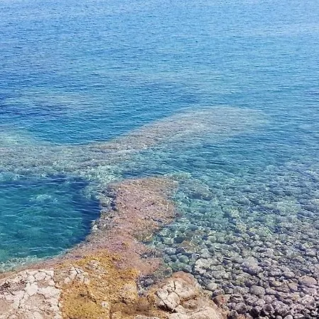 D Amuri Sea